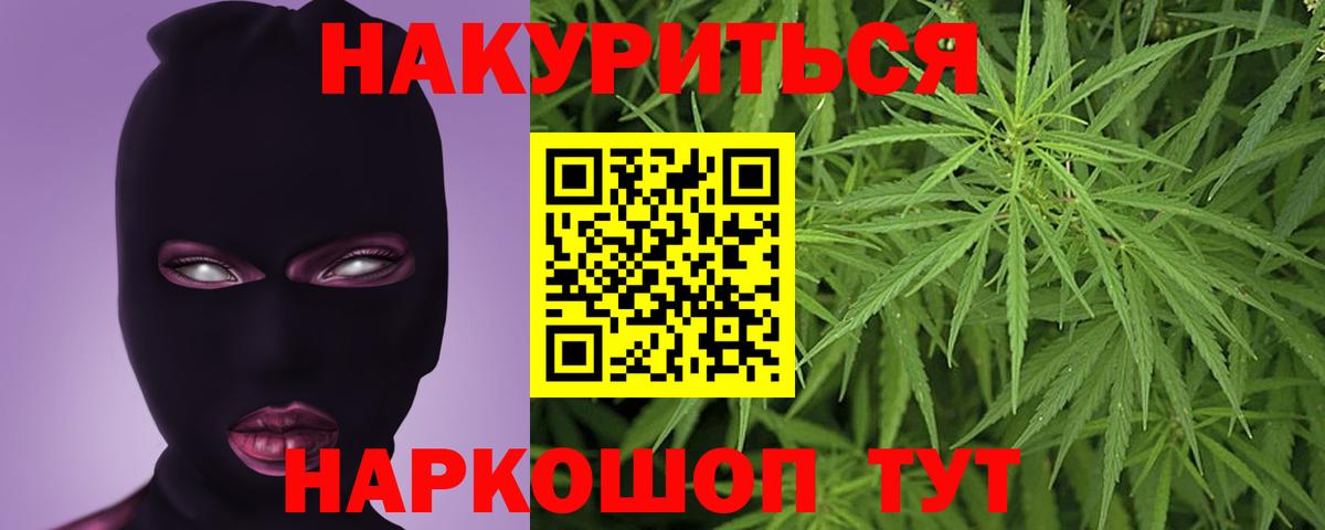 Бошки Шишки сатива  Конопля ГИДРОПОН  Жуковский  Вход с VPN 